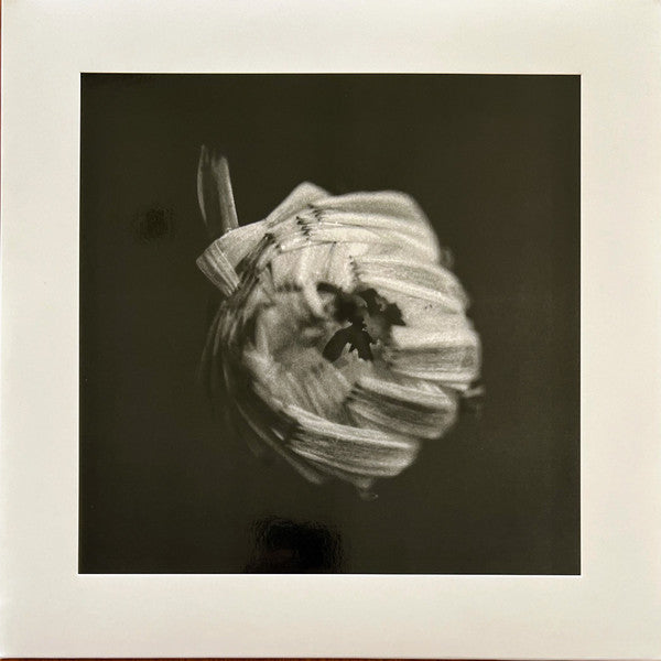 A Swarm Of The Sun : An Empire (2xLP, Album)