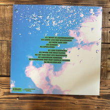 The Babe Rainbow : Slipper Imp And Shakaerator (LP, Album)
