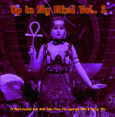 Various : Up In My Mind Vol. 2: 17 More Fuzzed Out Acid Tabs From The Lysergic '60s & Early '70s (LP, Comp)