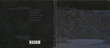 Daniel Rossen : Silent Hour / Golden Mile (CD, EP, Dig)
