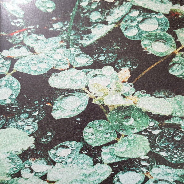 Sadness (4) : Rain Chamber (LP, Album, Ltd, Gre)