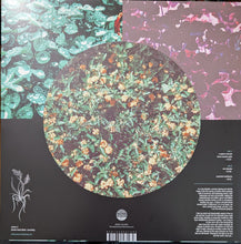 Sadness (4) : Rain Chamber (LP, Album, Ltd, Gre)