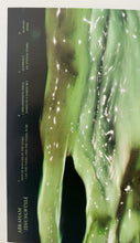 Abraham (13) : Idsungwüssä (2xLP, Album, Ltd, En )