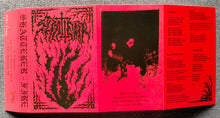 Shatterer (2) : Fire (Cass, EP, Ltd, Num)