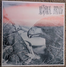 Author & Punisher : Nocturnal Birding (LP, Album, Ltd, Ele)