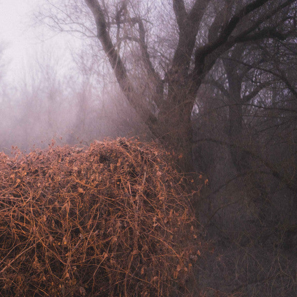 The Devil's Trade : Nincs Szennyezetlen Szép (LP, Album, Ltd, Cle)