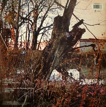 Black Sabbath : Black Sabbath (LP, Album, RE, 180)