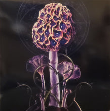 Blut Aus Nord : Hallucinogen (LP, Pur + LP, S/Sided, Etch, Pin + Album, Ltd, RE)