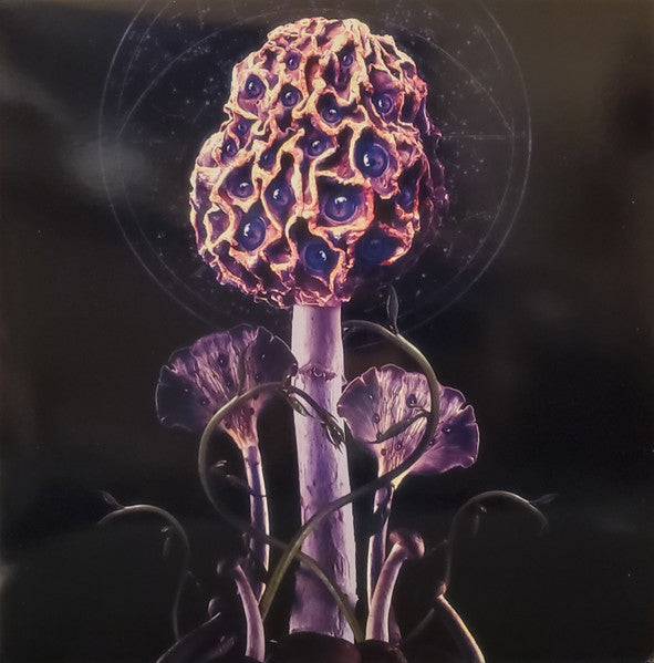 Blut Aus Nord : Hallucinogen (LP, Pur + LP, S/Sided, Etch, Pin + Album, Ltd, RE)
