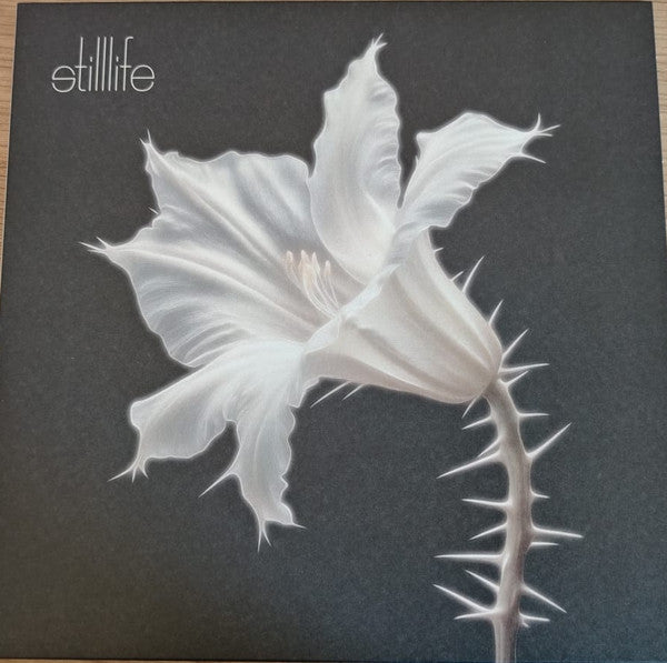 Kariti : Still Life (12