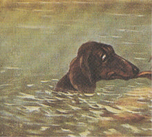 The Mayfair Set : Young One (CD, Album)