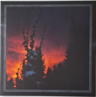 Blackbraid : Nocturnal Womb (10