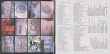 Red Hot Chili Peppers : Blood Sugar Sex Magik (CD, Album)
