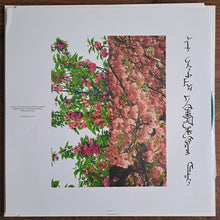 Trhä : Lact’eben (LP, EP, Ltd, Spa)