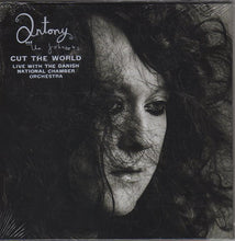 Antony And The Johnsons : Cut The World (CD, Album)