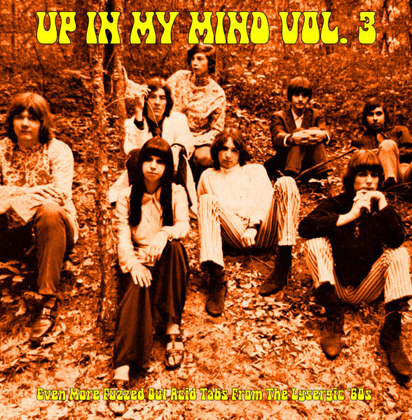 Various : Up In My Mind Vol. 3: Even More Fuzzed Out Acid Tabs From The Lysergic '60s (LP, Comp)