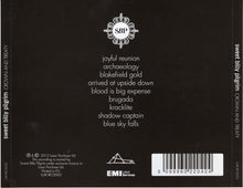 Sweet Billy Pilgrim : Crown And Treaty (CD, Album)
