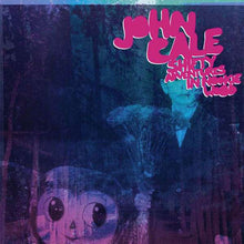John Cale : Shifty Adventures In Nookie Wood (CD, Album)