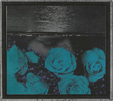 Jessica Bailiff : At The Down-Turned Jagged Rim Of The Sky (CD, Album)
