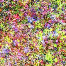 Le Loup : Family (CD, Album)