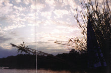 New Order : Waiting For The Sirens' Call (CD, Album)