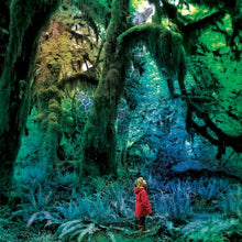 Jacco Gardner : Cabinet Of Curiosities (CD, Album, Dig)