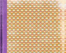 Mercury Rev : The Secret Migration (CD, Album)