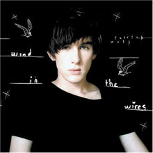 Patrick Wolf : Wind In The Wires (CD, Album)