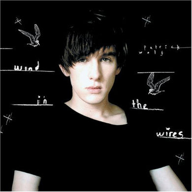 Patrick Wolf : Wind In The Wires (CD, Album)