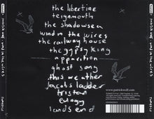 Patrick Wolf : Wind In The Wires (CD, Album)