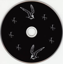 Patrick Wolf : Wind In The Wires (CD, Album)