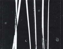 Patrick Wolf : Wind In The Wires (CD, Album)