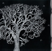 Patrick Wolf : Wind In The Wires (CD, Album)