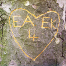 Art Brut : Emily Kane (7", Single)