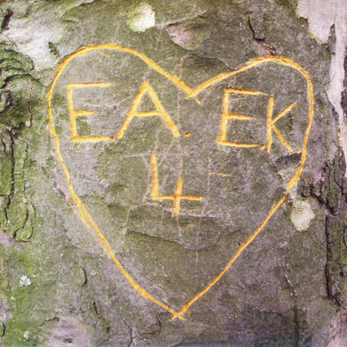 Art Brut : Emily Kane (7