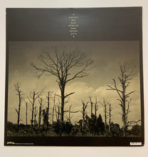 Centuries (5) : Taedium Vitae (12", Album)