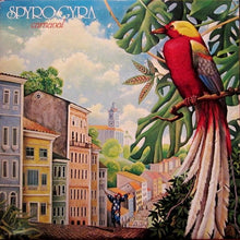 Spyro Gyra : Carnaval (LP, Album)