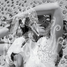 Björk : Vespertine (CD, Album)
