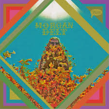 Morgan Delt : Morgan Delt (CD, Album)