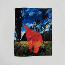Pink Floyd : Wish You Were Here (LP, Album, RE)