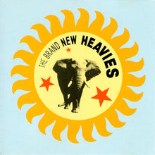 The Brand New Heavies : The Brand New Heavies (CD, Album)