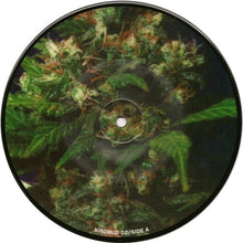 Phobia (6) / Corrupted : Phobia / Corrupted (7", Pic)