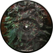 Phobia (6) / Corrupted : Phobia / Corrupted (7", Pic)