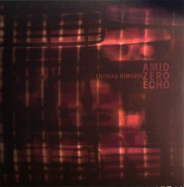 Thomas Dimuzio : Amid Zero Echo (2x10
