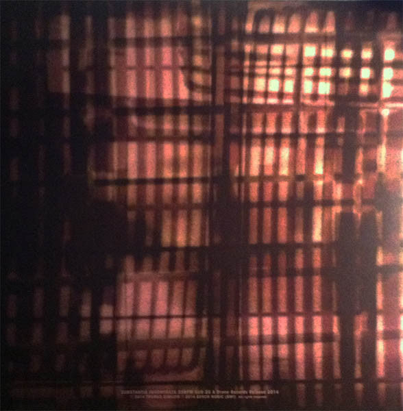 Thomas Dimuzio : Amid Zero Echo (2x10", Ltd, Cle)