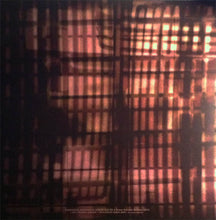 Thomas Dimuzio : Amid Zero Echo (2x10", Ltd, Cle)