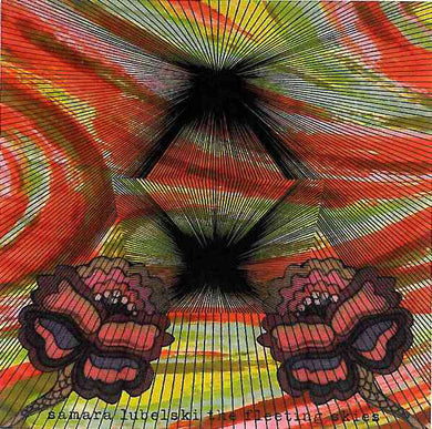 Samara Lubelski : The Fleeting Skies (CD, Album)