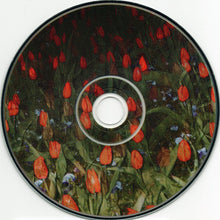 Film School : Film School (CD, Album)