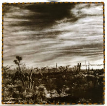 Merle Haggard / Willie Nelson : Poncho & Lefty (LP, Album, CX )