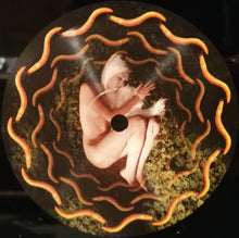 A Perfect Circle : Thirteenth Step (2xLP, Album, RE, 180)